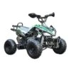 Motoworks 125cc Petrol-Powered 4-Stroke Sports Kids Quad Bike - Green