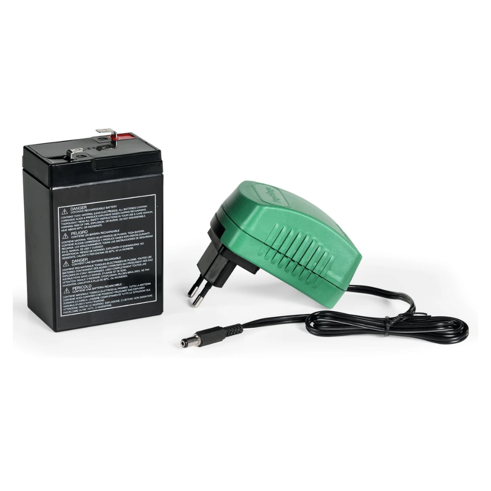 Peg Perego Ducati DESMOSEDICI Evo 6v Kids Ride-On Motorbike 5 Peg Perego Ducati DESMOSEDICI Evo 6v Kids Ride-On Motorbike - Image 5