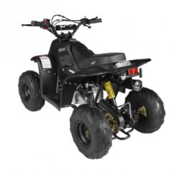 GMX Ripper-X 110cc Junior Kids Quad Bike - Black 9 GMX Ripper-X 110cc Junior Kids Quad Bike - Black -Kids Car Sales GMXRipper X110ccJuniorKidsQuadBike BlackBack