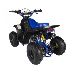 GMX Ripper-X 110cc Junior Kids Quad Bike - Black/Blue 9 GMX Ripper-X 110cc Junior Kids Quad Bike - Black/Blue -Kids Car Sales GMXRipper X110ccJuniorKidsQuadBike BlackBlueBack