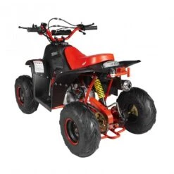 GMX Ripper-X 110cc Junior Kids Quad Bike - Black/Red 9 GMX Ripper-X 110cc Junior Kids Quad Bike - Black/Red -Kids Car Sales GMXRipper X110ccJuniorKidsQuadBike BlackRedBacl