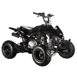 GMX Beast 110cc Petrol-Powered 4-Stroke Kids Sports Quad Bike - Black