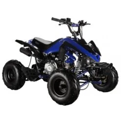GMX The Beast 110cc Petrol-Powered 4-Stroke Kids Sports Quad Bike - Blue