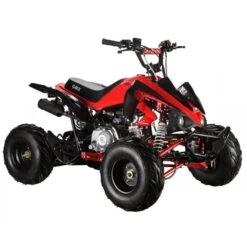 GMX Beast 110cc Petrol-Powered 4-Stroke Kids Sports Quad Bike - Red