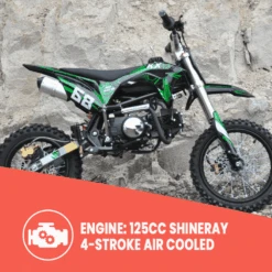 Motoworks 125cc Petrol Powered 4-Stroke 4-Speed Manual Kids Dirt Bike X - Green -Kids Car Sales Motoworks125ccPetrolPowered4 Stroke4 SpeedManualKidsDirtBikeX 2